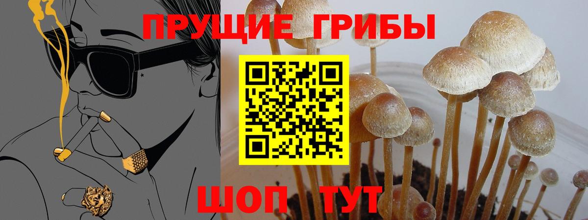 Гашиш Алапаевск